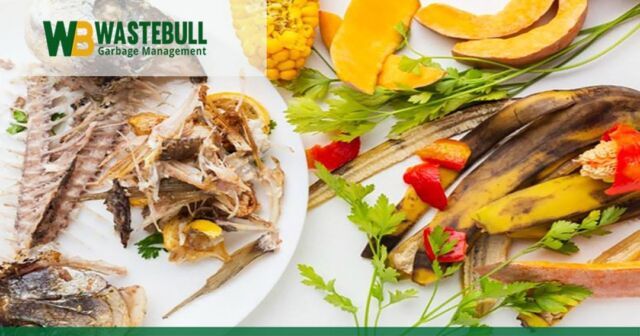 Do not fret about waste collection and organics recycling at your restaurant. Wastebull will collect your restaurant waste.
https://bit.ly/2Kz9VOy
#wastecollection #wastemanagement